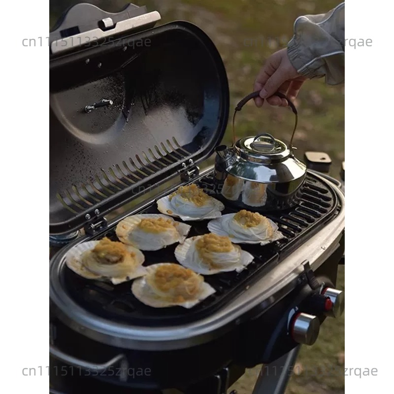 Fogão a Gás Portátil para Cozi - Outdoor Camping Griddle avaliação e preço